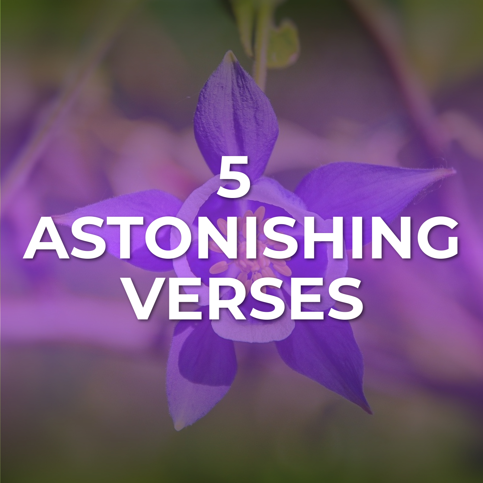 5 Astonishing Verses - Sermon Series - Hope Church Huddersfield