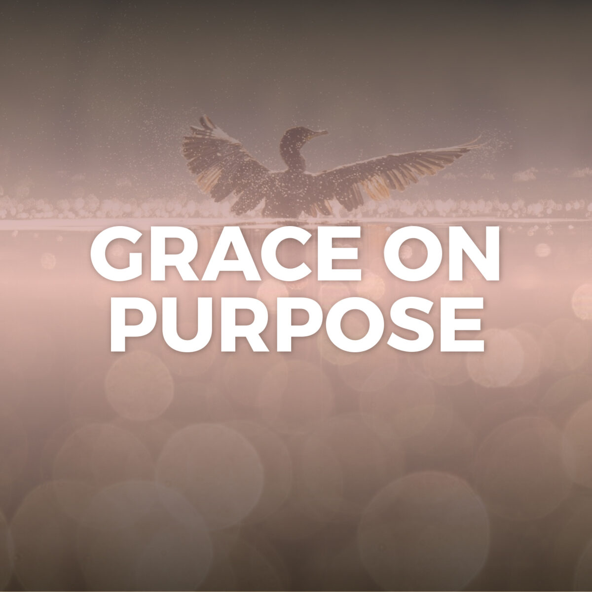 Grace on Purpose Hope Church Huddersfield
