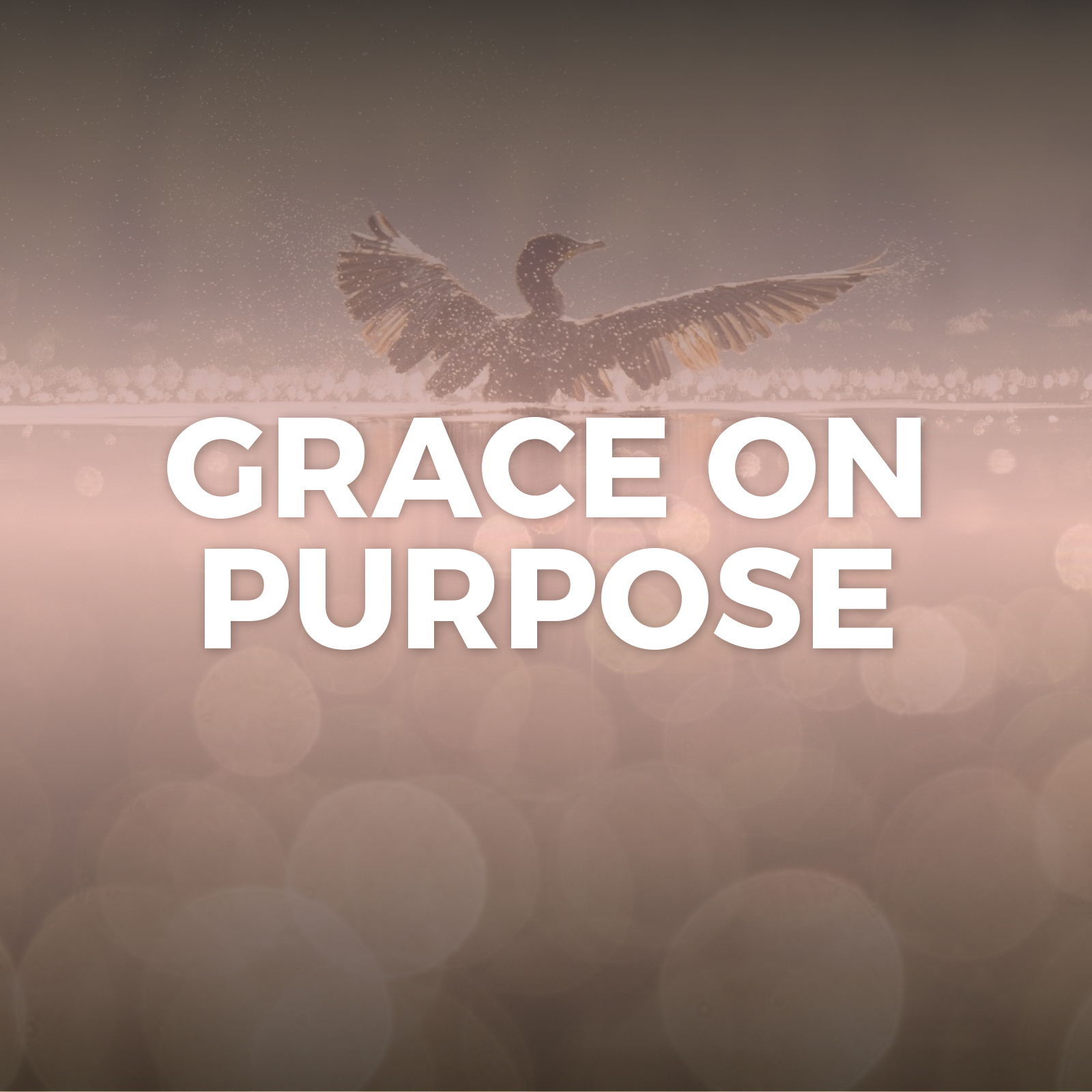 Grace on Purpose Sermon Series - Hope Church Huddersfield