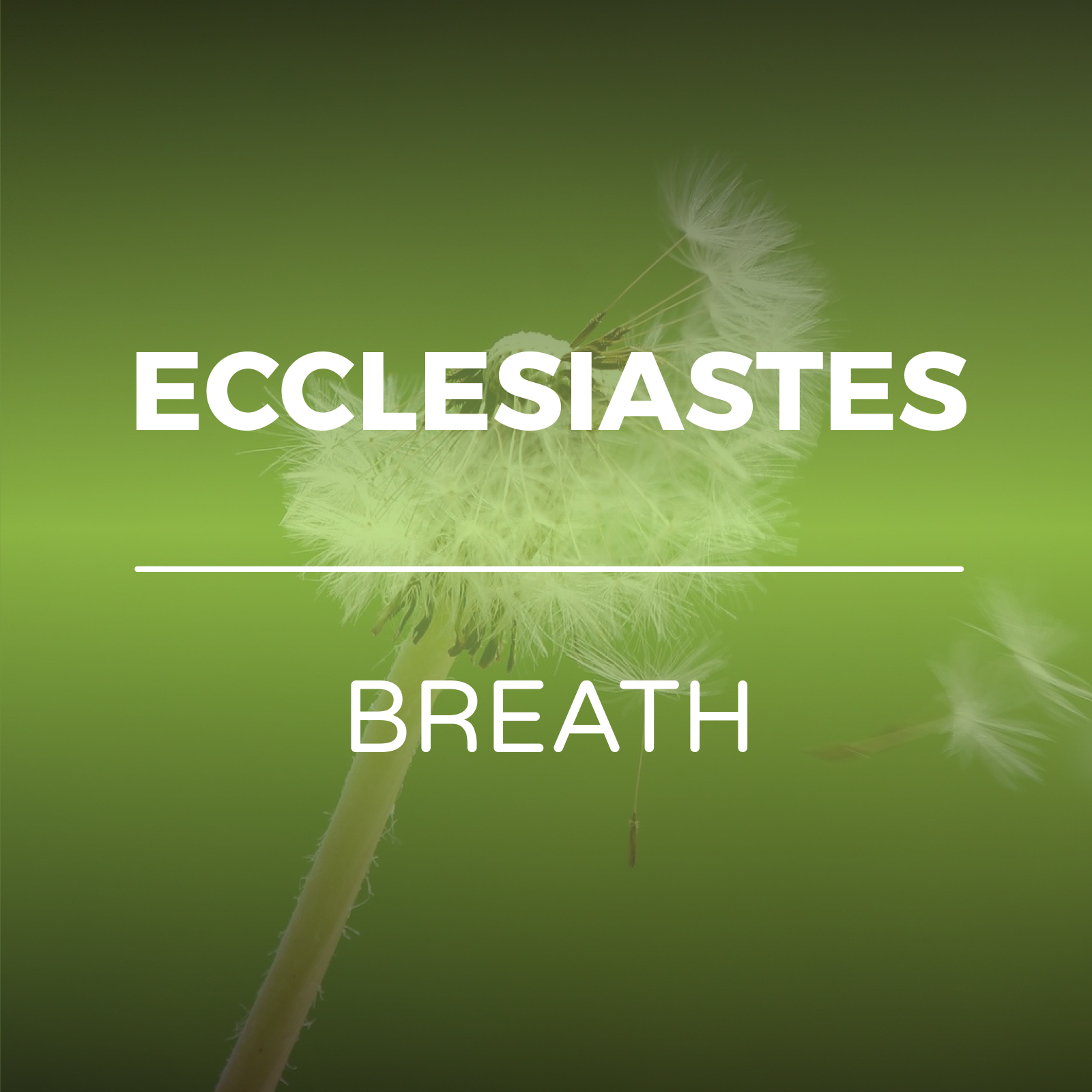 Ecclesiastes - Breath sermon series - Hope Church Huddersfield