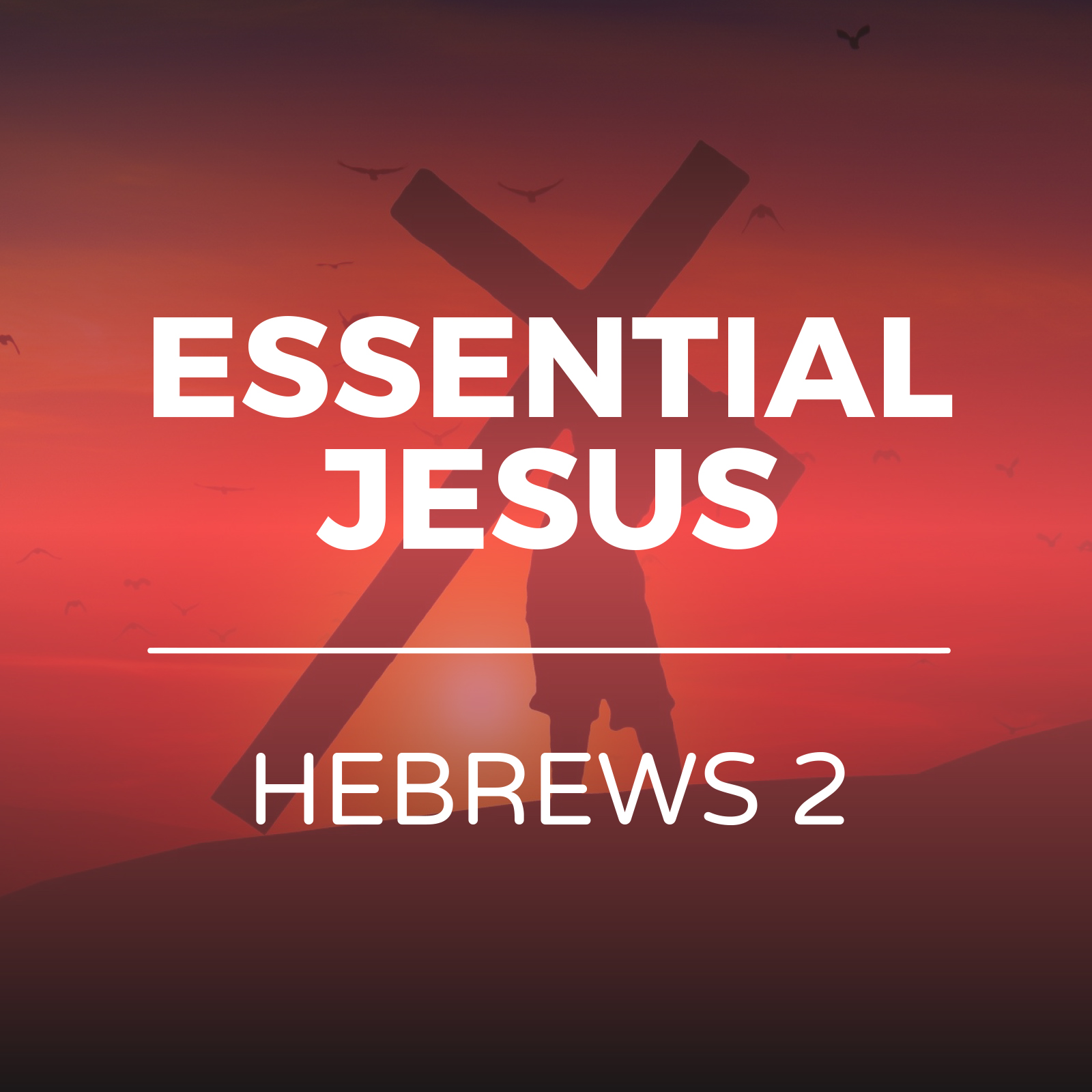 Essential Jesus - Hebrews 2 Sermon Series - Hope Church Huddersfield