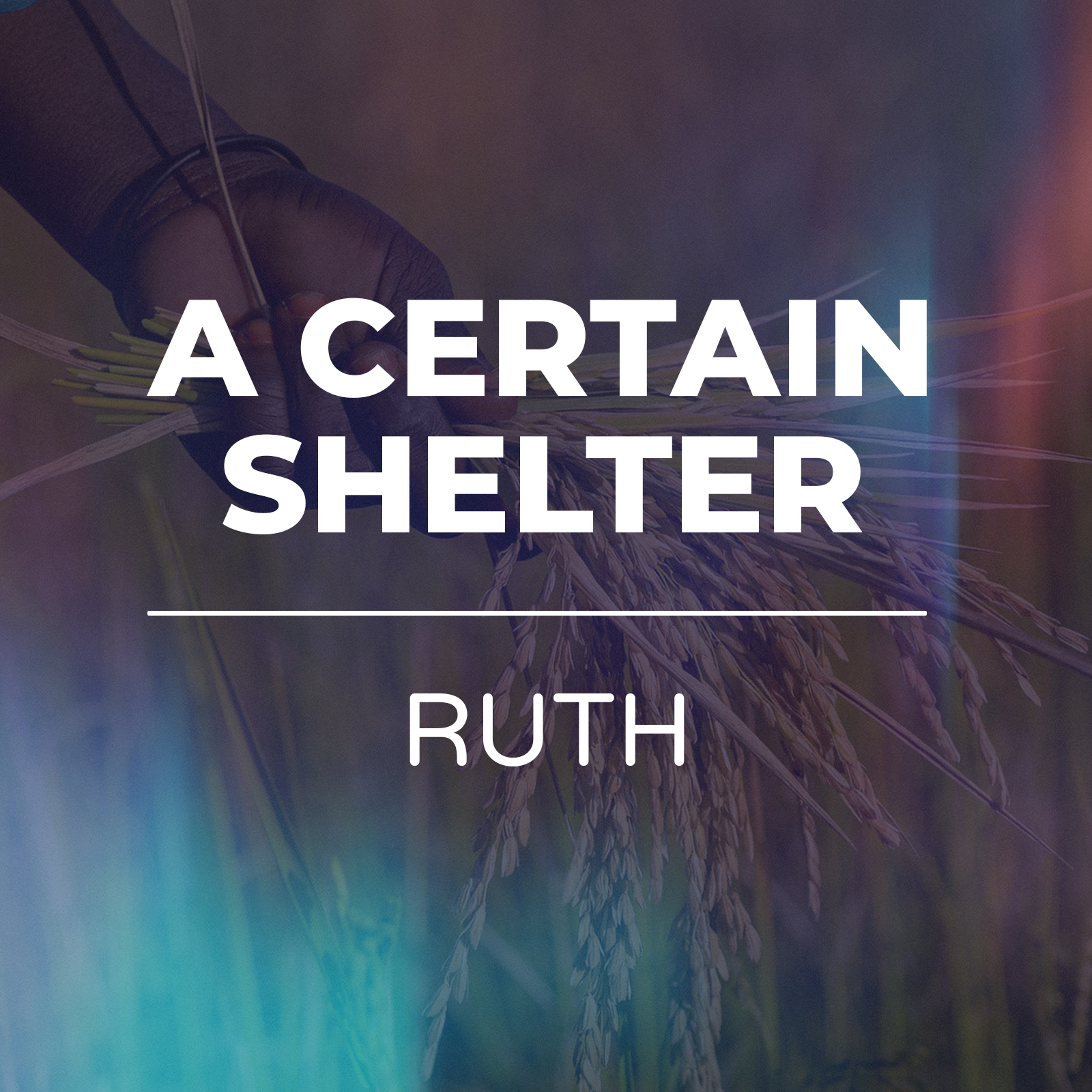 A certain shelter - Ruth sermon series - Hope Church Huddersfield