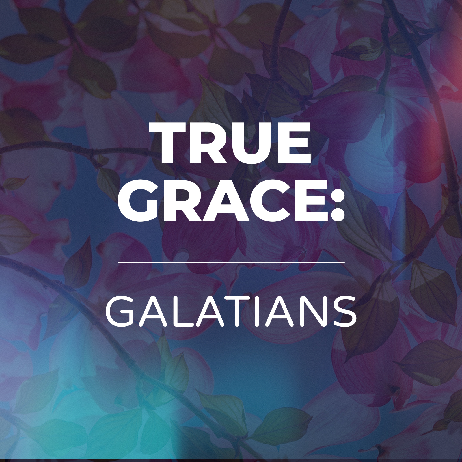 True Grace - Galatians